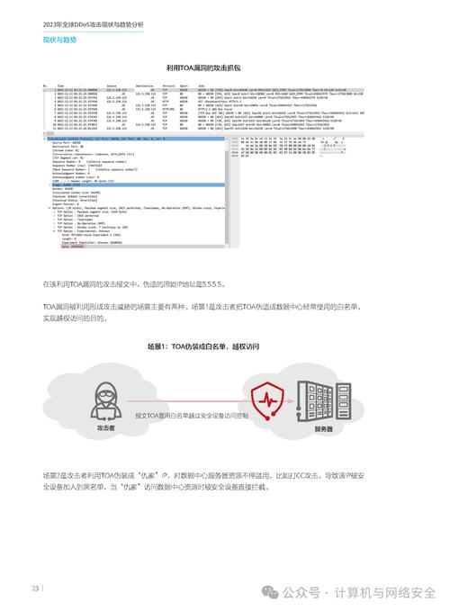 攻击服务器需要多少钱（攻击 服务器）-第6张图片-文史